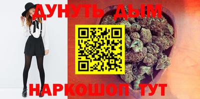 сатива Бузулук