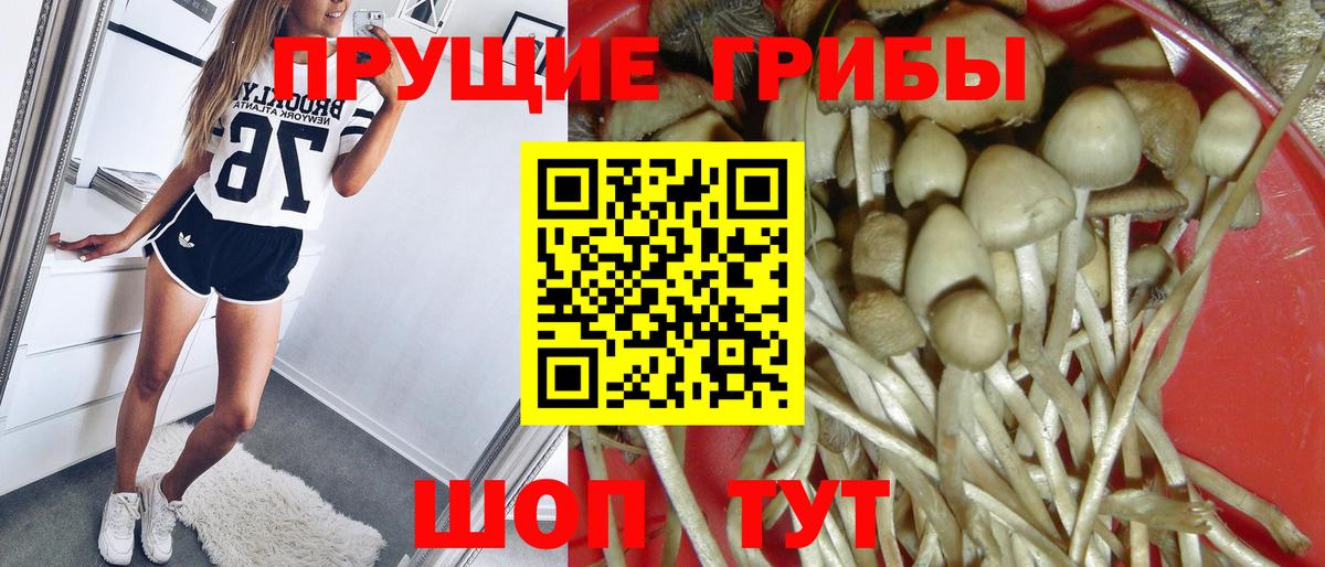 Скопин  наркотики  Вход с VPN  Галлюциногенные грибы MAGIC MUSHROOMS 