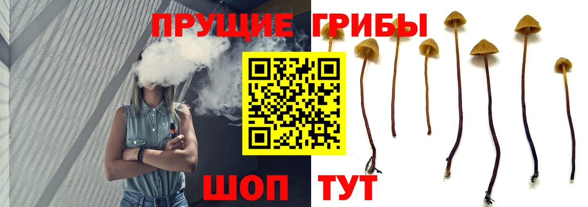 Галлюциногенные грибы GOLDEN TEACHER Скопин